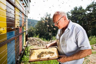 Tradiční výroba medu (www.slovenia.info, photo: Vid Ponikvar)