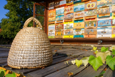 Tradice včelařství (www.slovenia.info, photo: Domen Grogl)